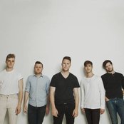 Wild Cub - List pictures