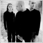 Mizan - List pictures