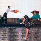 The Flying Lizards - List pictures