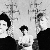 Young Gods - List pictures