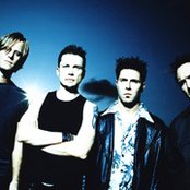 Oleander - List pictures