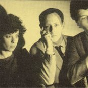 Minimal Compact - List pictures
