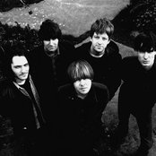 The Coral - List pictures