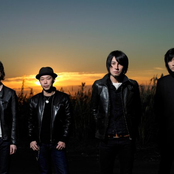 The Birthday - List pictures