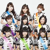 Passpo - List pictures