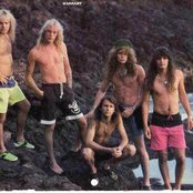 Warrant - List pictures