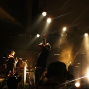 Diggy Dex - List pictures