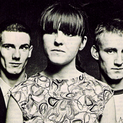 Young Marble Giants - List pictures