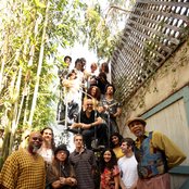 Build An Ark - List pictures