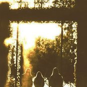 Novembre - List pictures