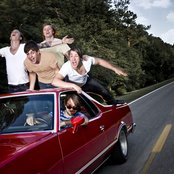 Between The Trees - List pictures