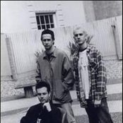 Mr T Experience - List pictures