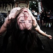 An Albatross - List pictures