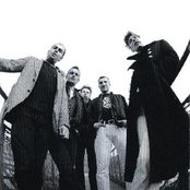 Molodoi - List pictures