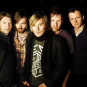 Lovebugs - List pictures