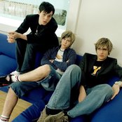 Busted - List pictures