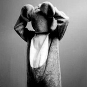 Danger Mouse - List pictures