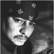 Frost - List pictures