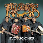 Los Palominos - List pictures