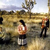 Cock Robin - List pictures