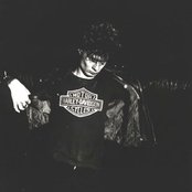 Foetus - List pictures