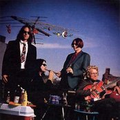 Posies - List pictures