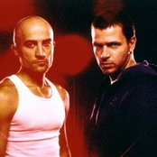 Cassius - List pictures