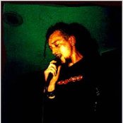 Bad Acid Trip - List pictures