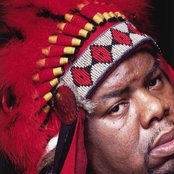 Biz Markie - List pictures