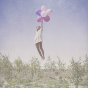 Blackbird Blackbird - List pictures