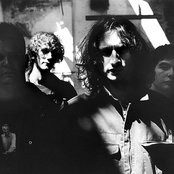 The Music - List pictures