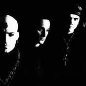 Saviour Machine - List pictures