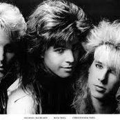 Shadow - List pictures