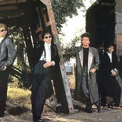 Toto - List pictures