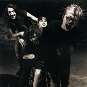 Crashdog - List pictures