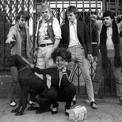 X-ray Spex - List pictures