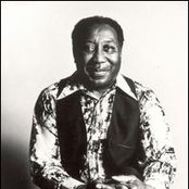 Muddy Waters - List pictures