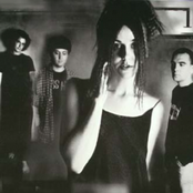 The Cranes - List pictures