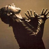 Bono - List pictures