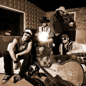 Tractor Troy - List pictures