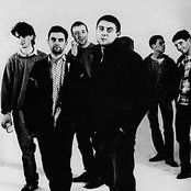 Happy Mondays - List pictures