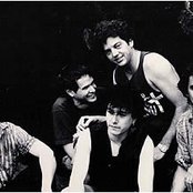 Alice Donut - List pictures