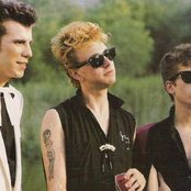 Stray Cats - List pictures