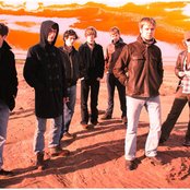 The Coral - List pictures