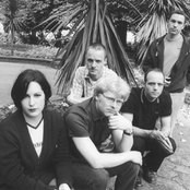 Trembling Blue Stars - List pictures