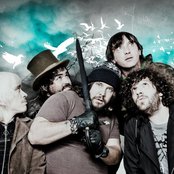 Massacre - List pictures