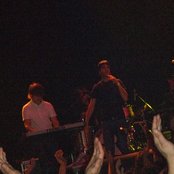 Goose - List pictures