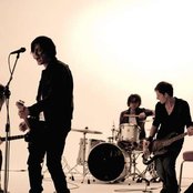 Lovebugs - List pictures