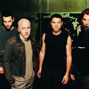 Bush - List pictures