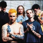 Flaw - List pictures